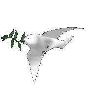 Vredes duif